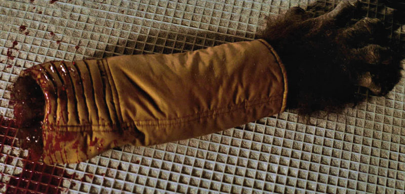 FE34785B-E87D-4E1F-A54F-550E809FC202