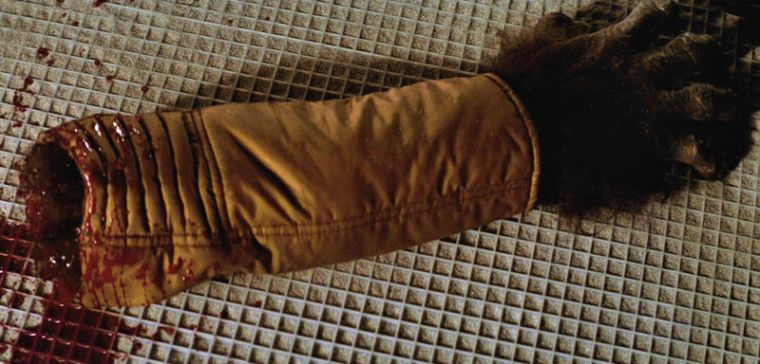 FE34785B-E87D-4E1F-A54F-550E809FC202